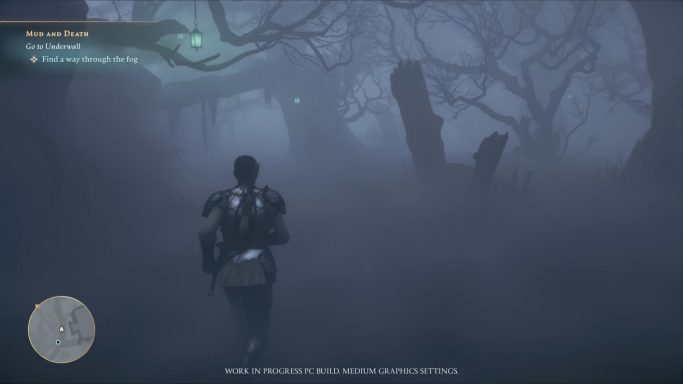 Der Nebel, die Bäume und dann noch die Laternen.